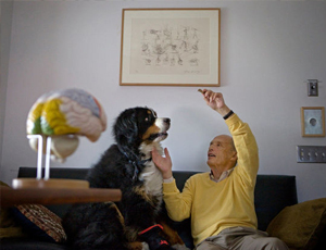 免费ddos压力测试平台