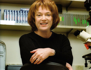 免费ddos压力测试平台