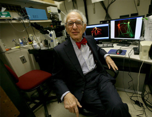 智能资源调配的ddos攻击测试